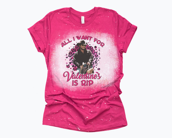 All I Want For Valentine's Shirt